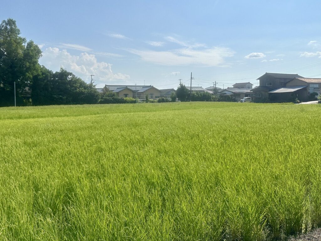 真夏の新潟で競馬場までジョギング
