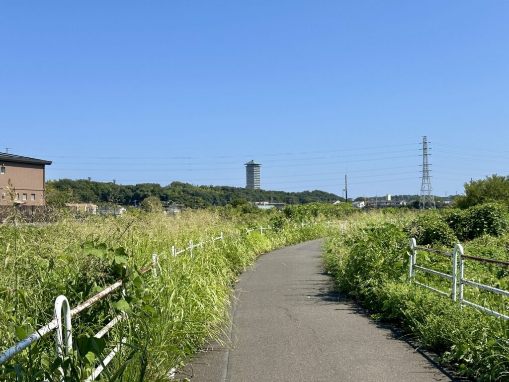 境川サイクリングコースをランニング