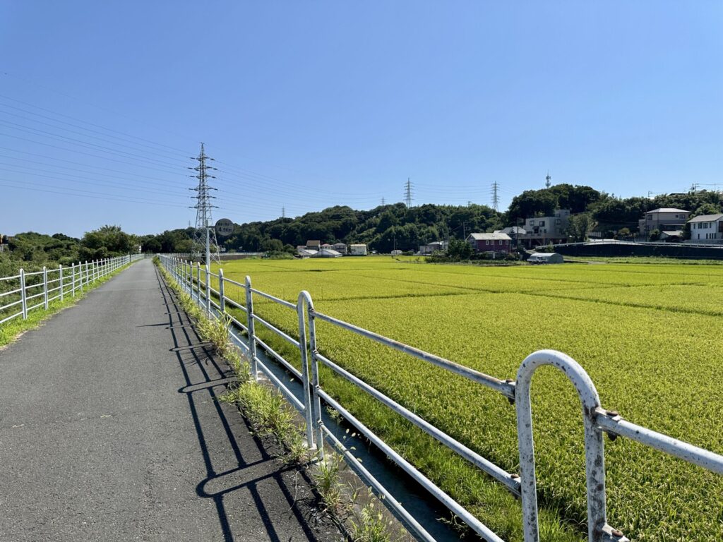 境川サイクリングロードをランニング