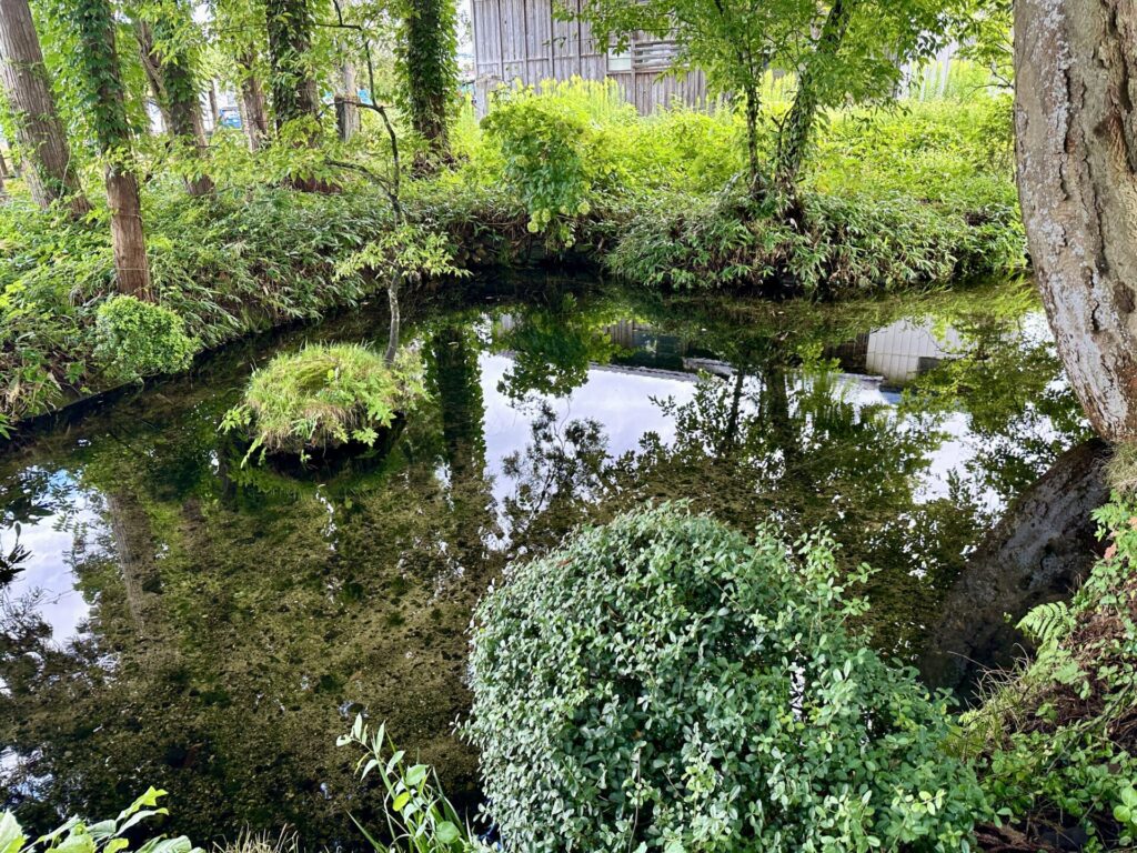 よこてシティハーフ後に六郷湧水へ