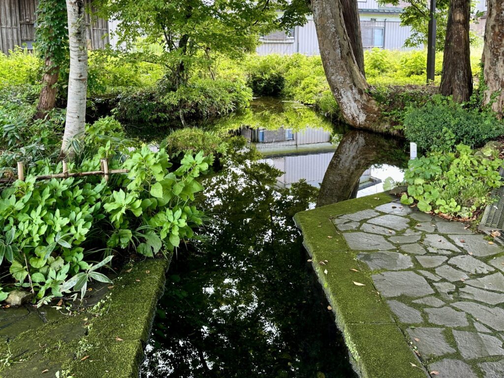 よこてシティハーフ後に六郷湧水へ
