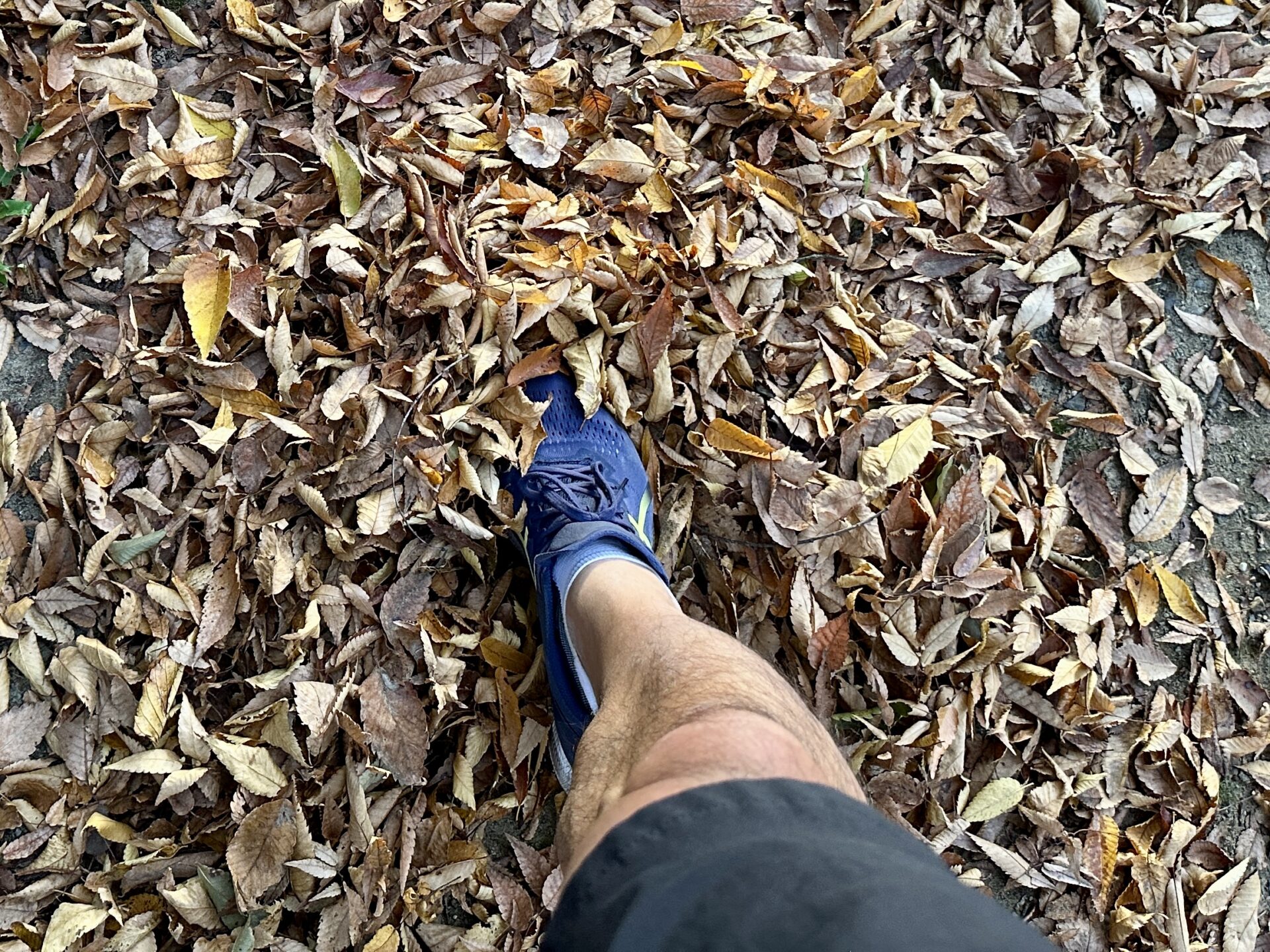 薄底シューズでランニング