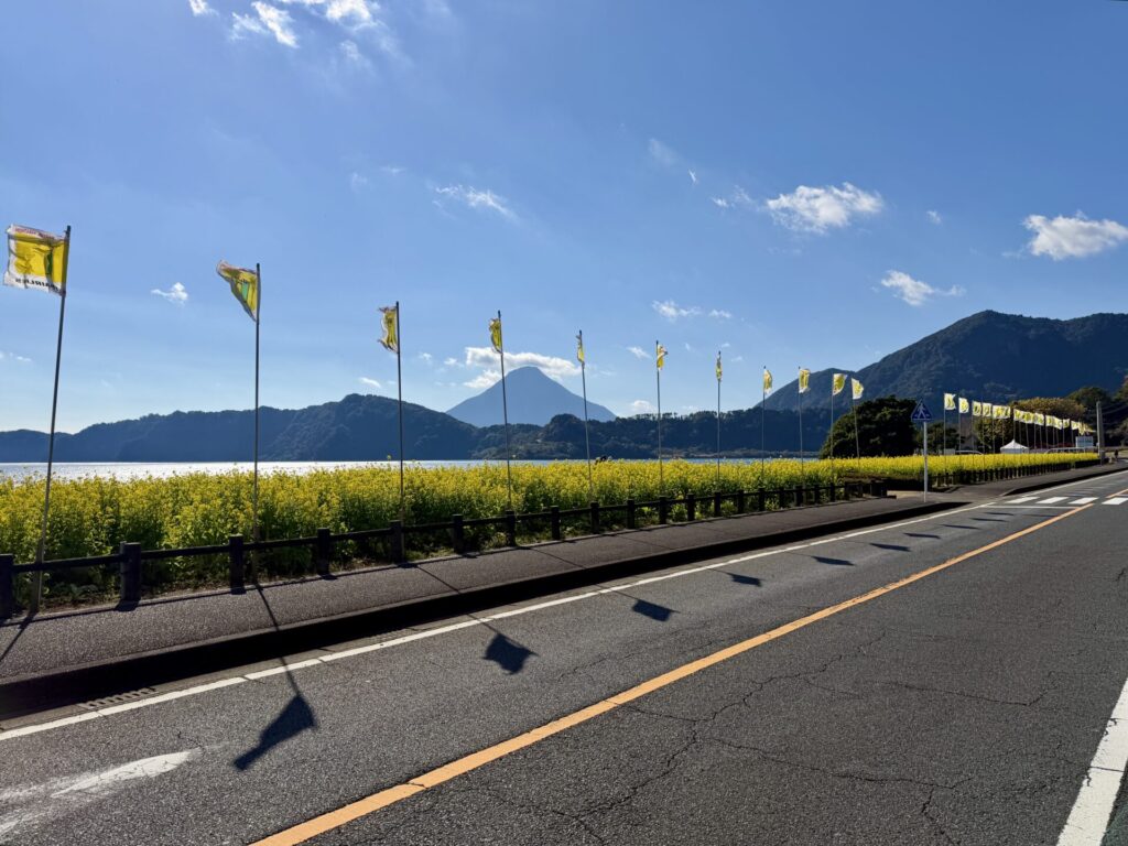 いぶすき菜の花マラソン、池田湖と開聞岳