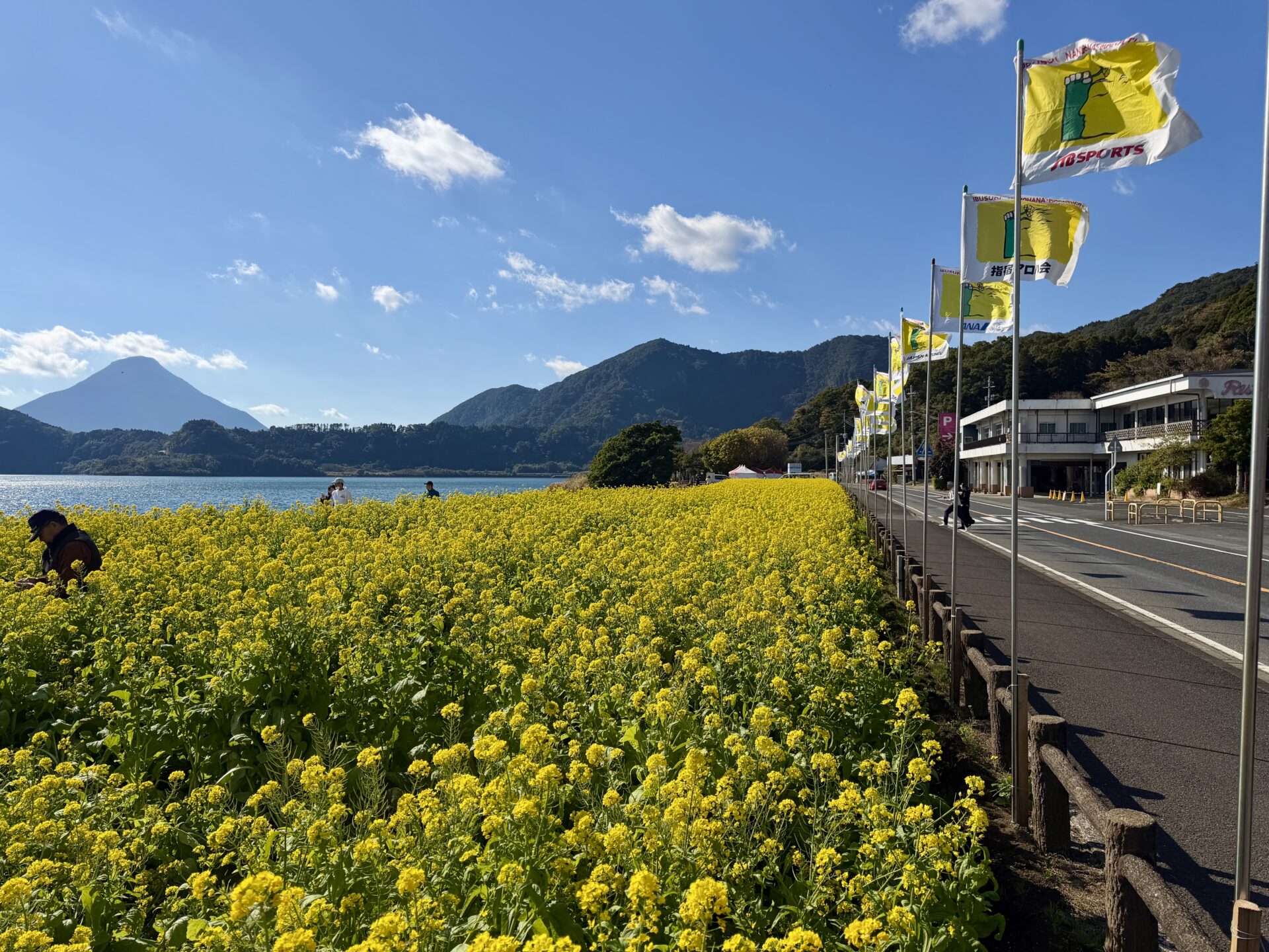 いぶすき菜の花マラソン、池田湖と開聞岳