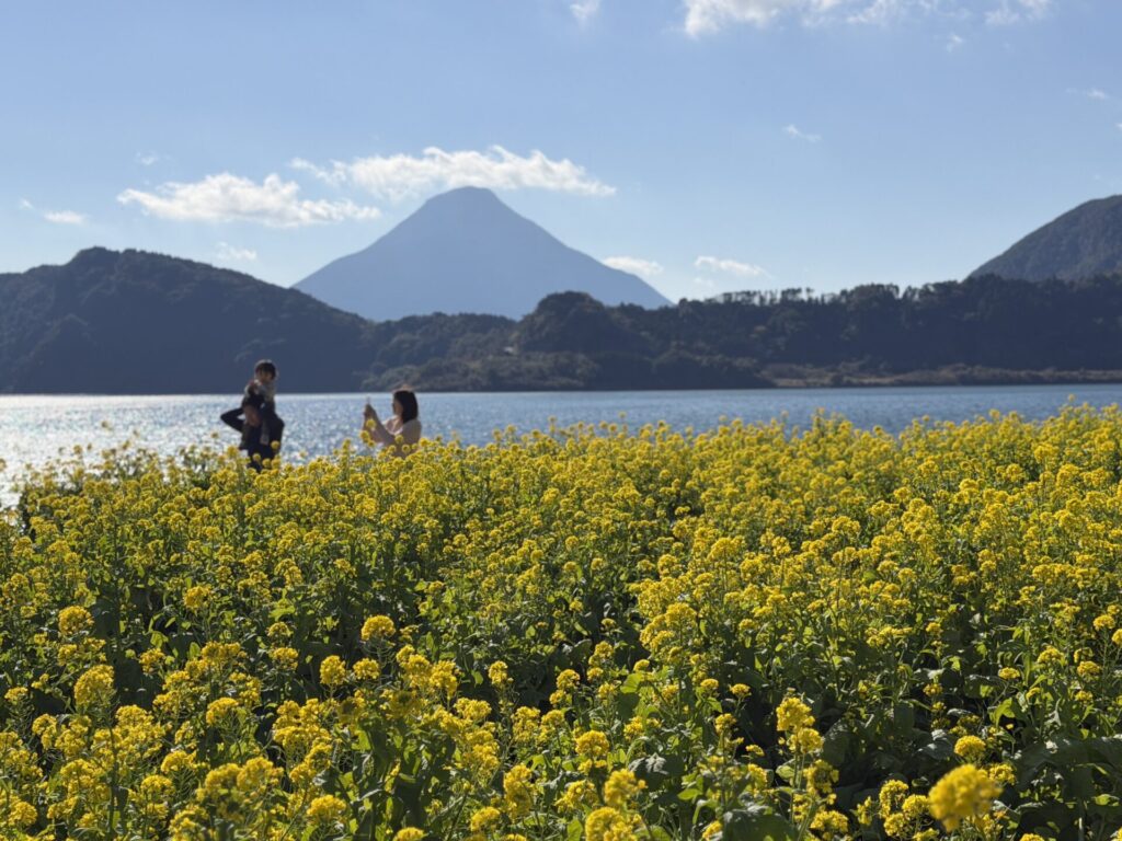 いぶすき菜の花マラソン、池田湖と開聞岳