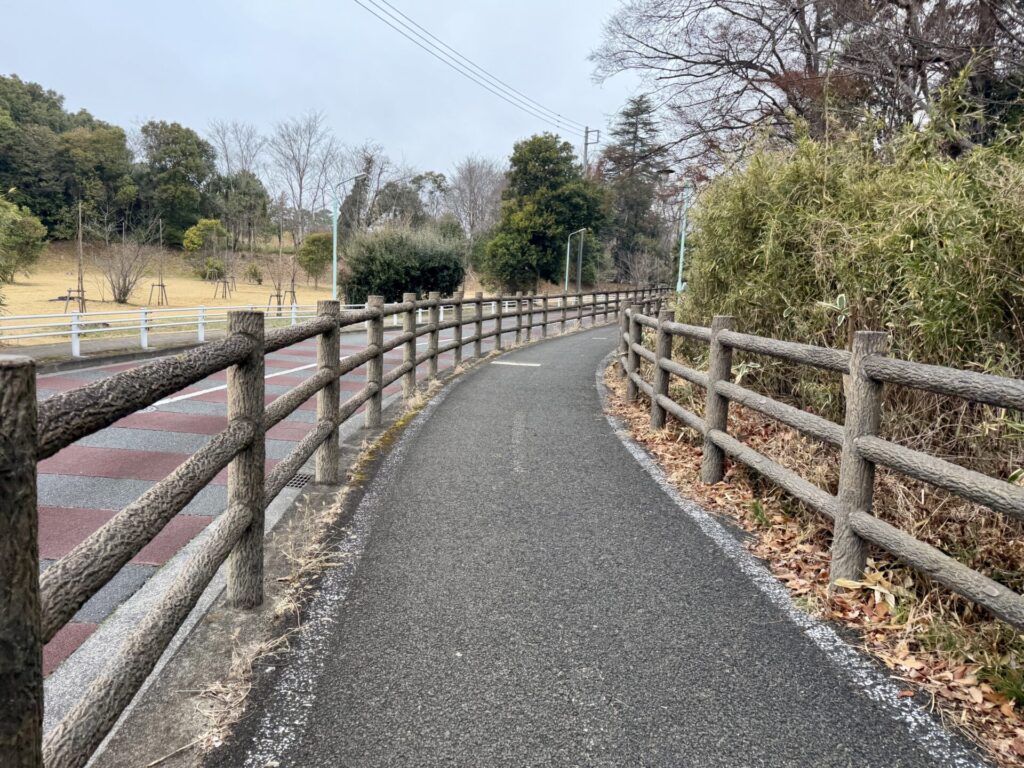 多摩湖自転車道を朝ウォーキング