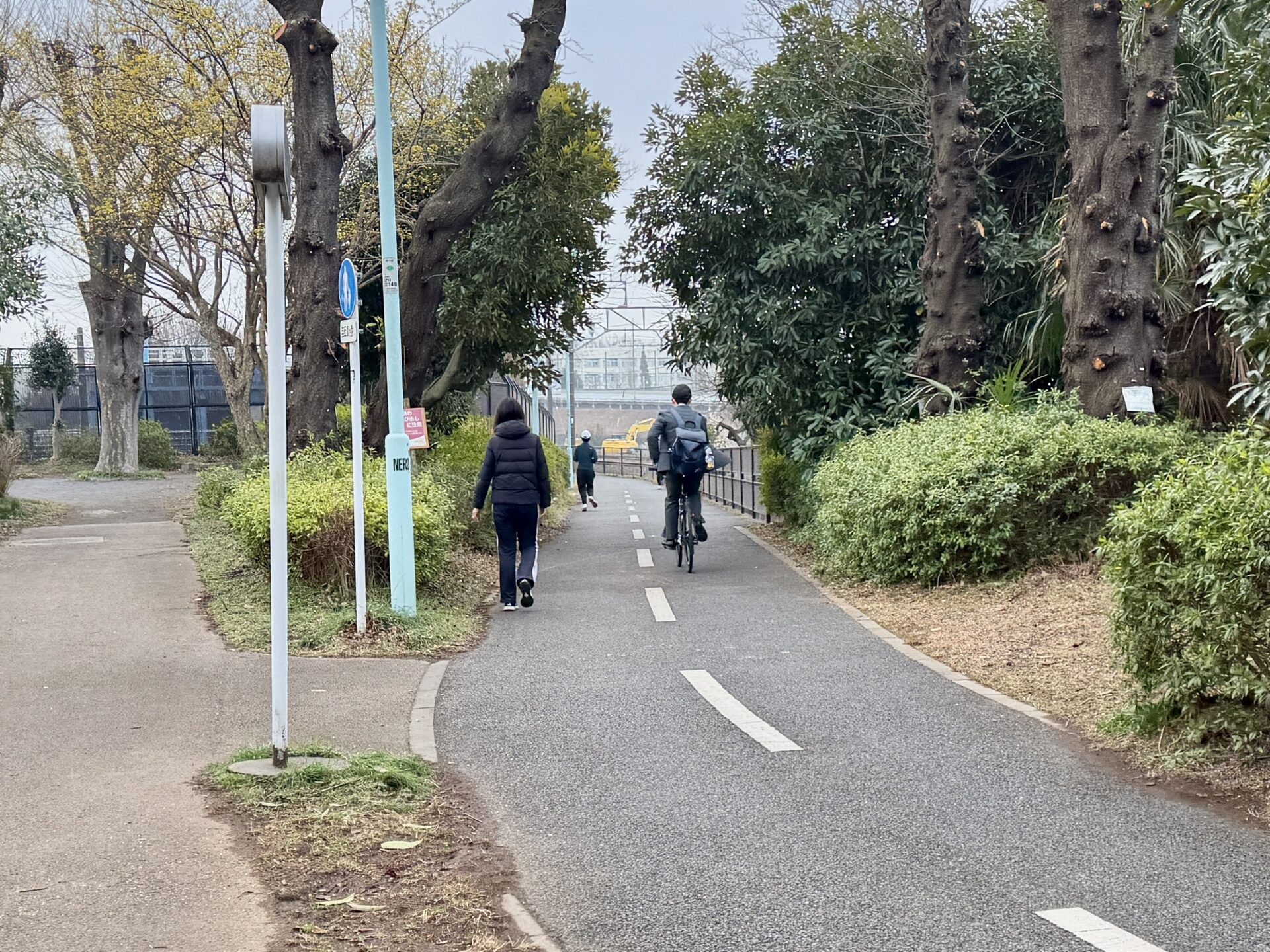 多摩湖自転車道を朝ウォーキング