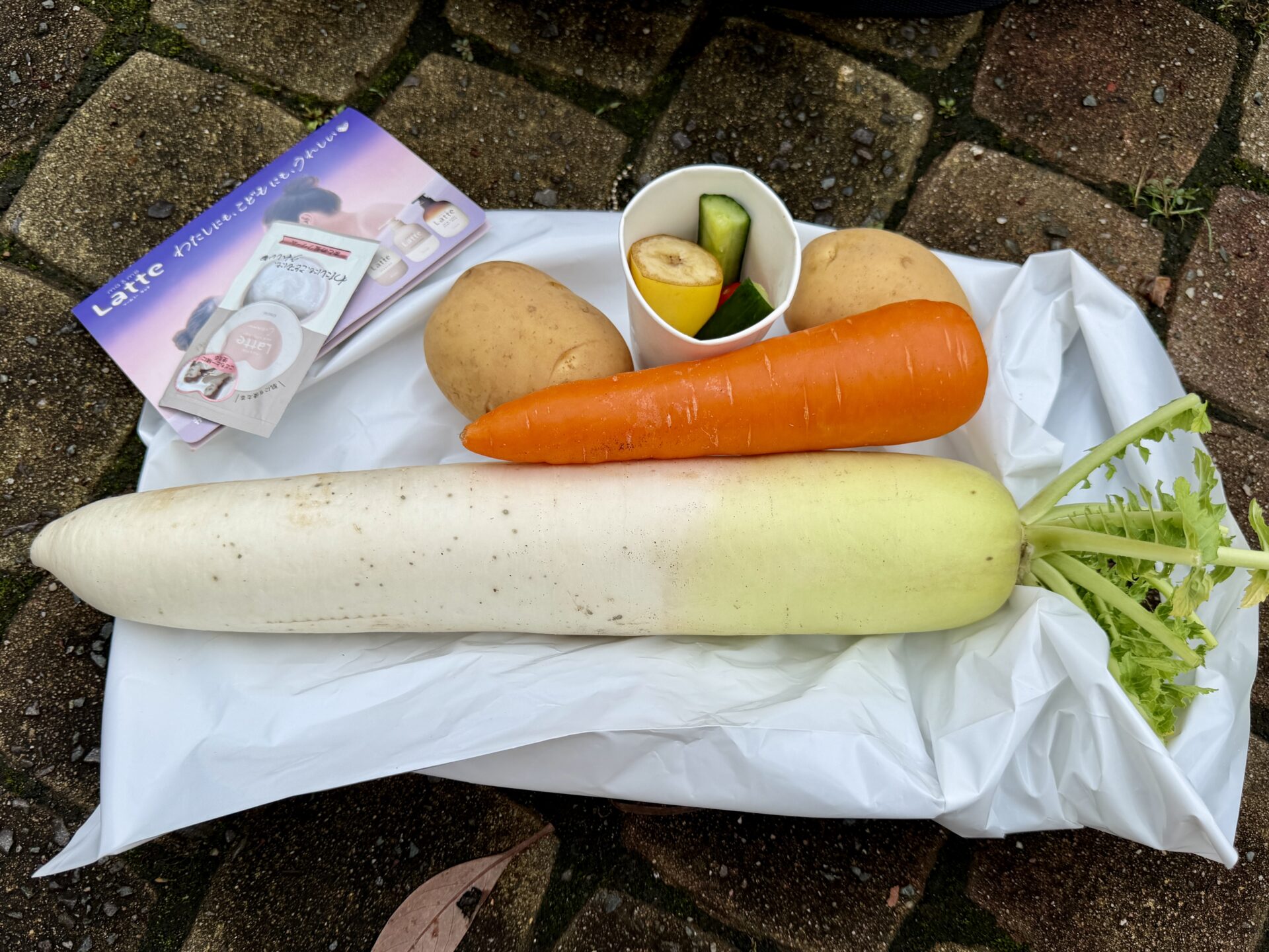 ベジタブルマラソンin立川の参加賞は野菜