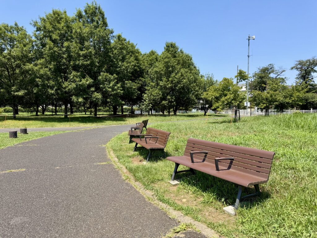 真夏のランニングコース
