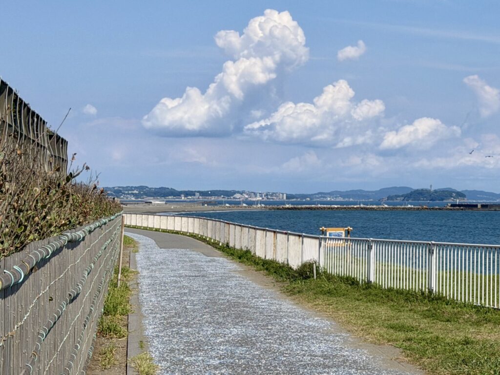 柳島までのサイクリングコース、夏ランニング