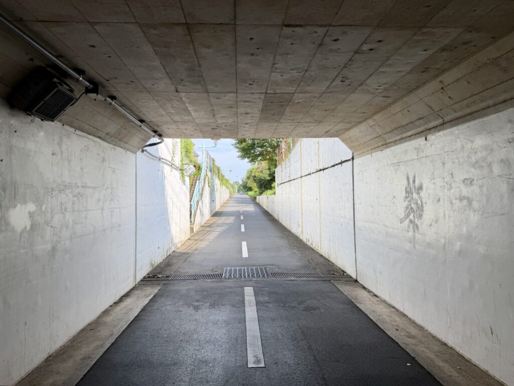多摩湖自転車道