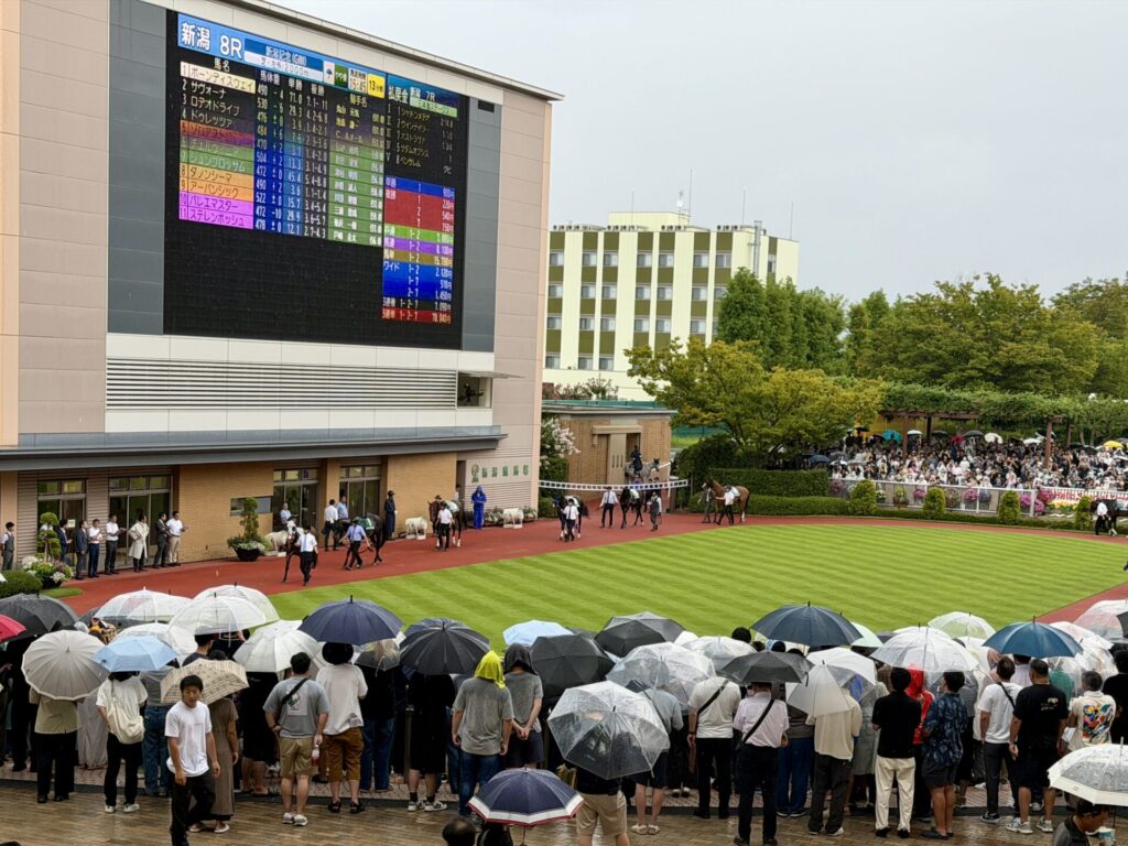 新潟記念2026今年は車で家族と