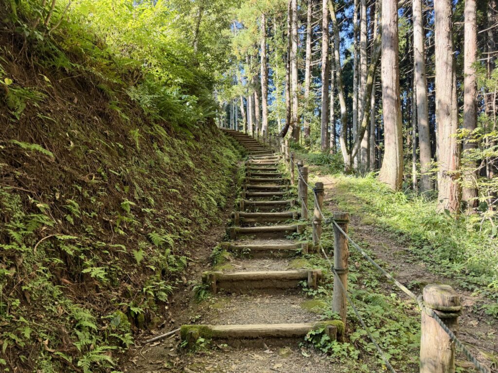 えちご・くびき野100kmで春日山を訪問