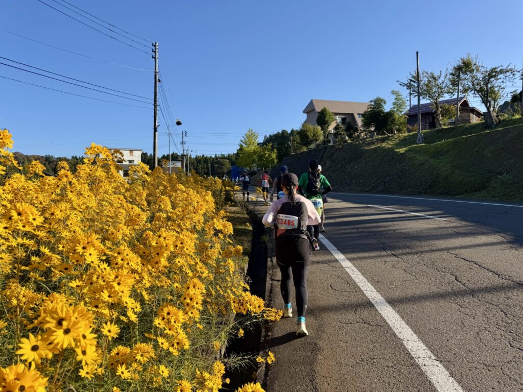 えちごくびき野100kmのアップダウン