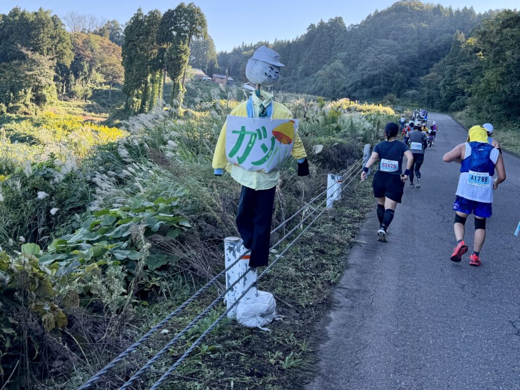 えちご・くびき野100kmマラソン、坂道