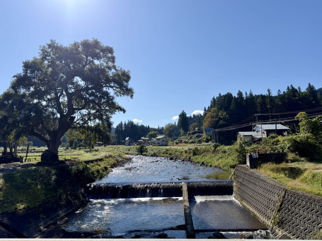 えちごくびき野100kmの風景、川