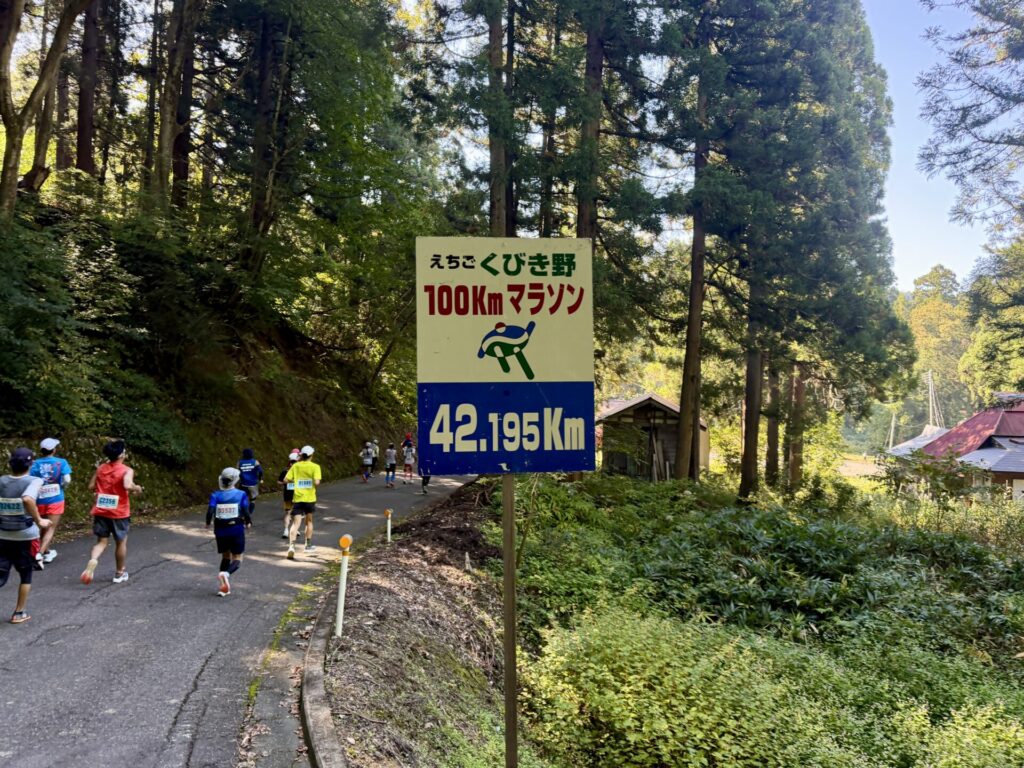 えちごくびき野100km、暑いくて死にそう