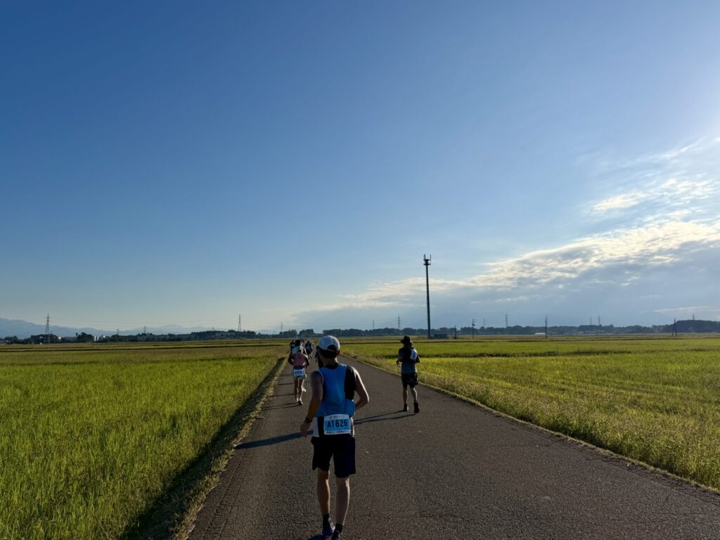 えちごくびき野100kmのコース、田んぼ一直線